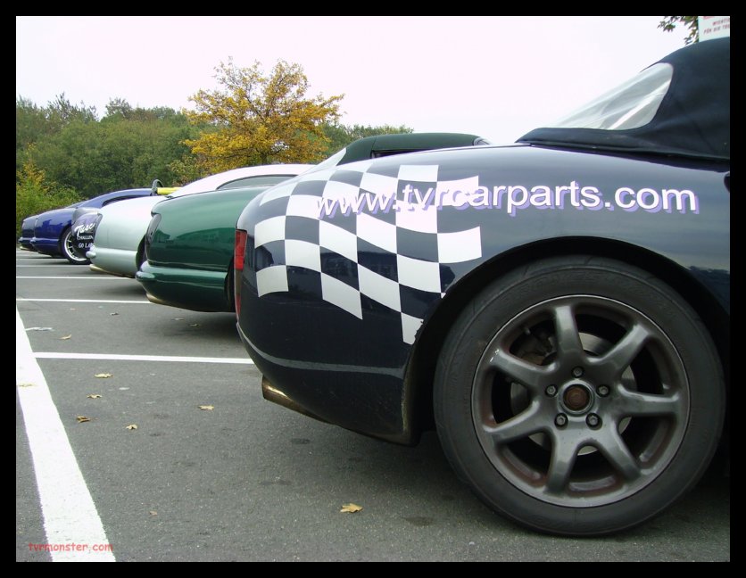 rears